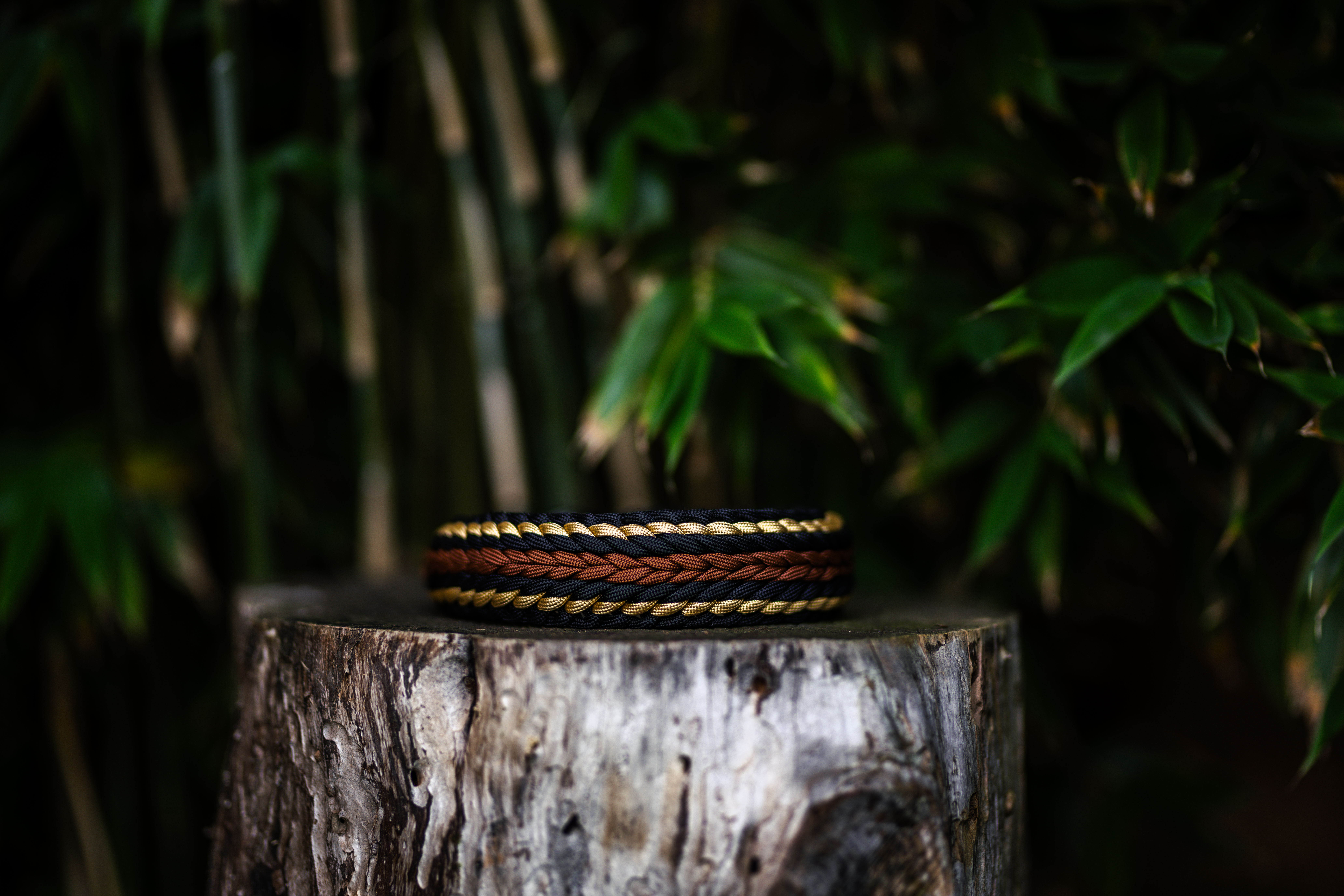 Catshot Pawcraft Halsband 4