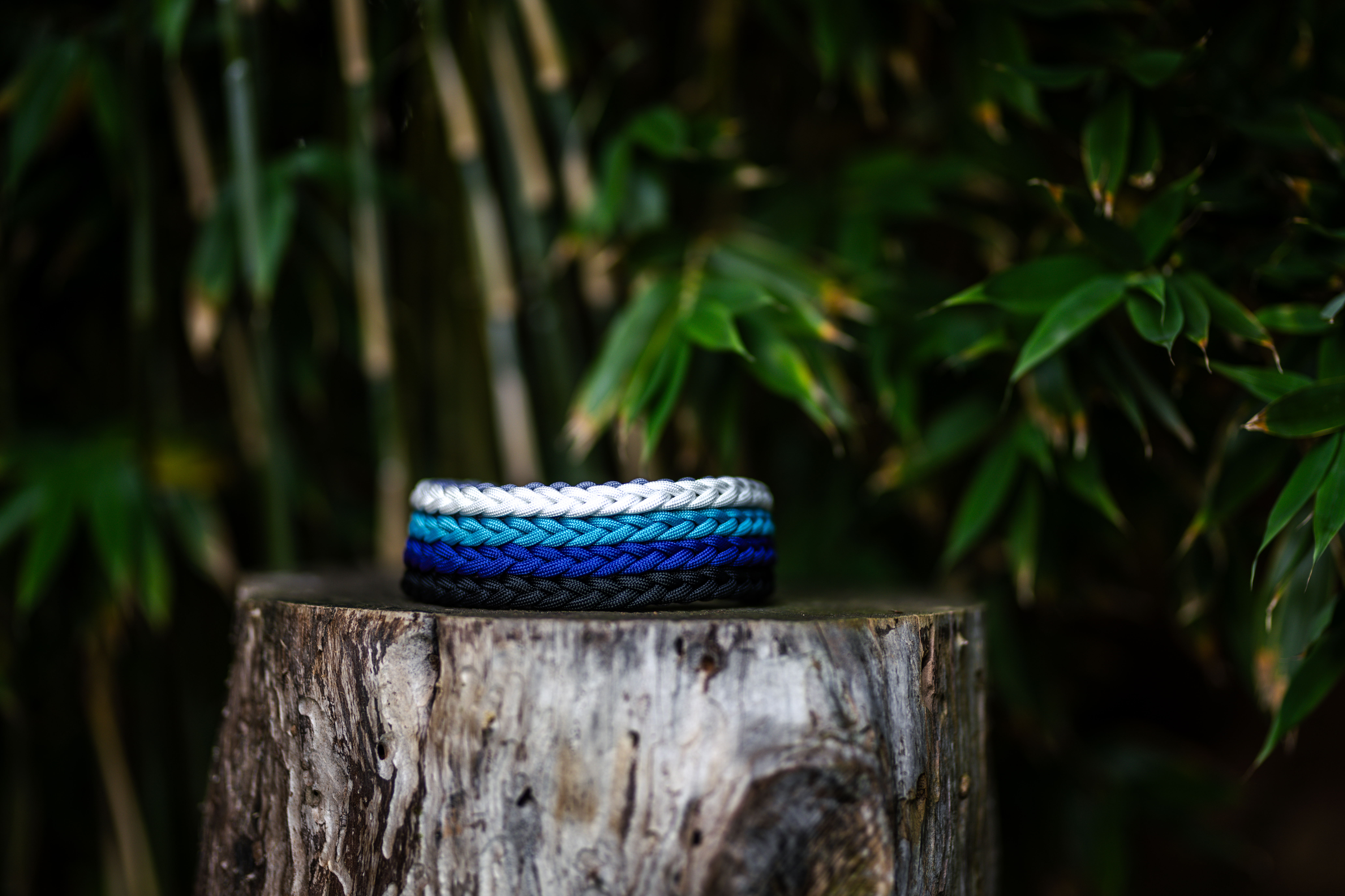 Catshot Pawcraft Halsband 5