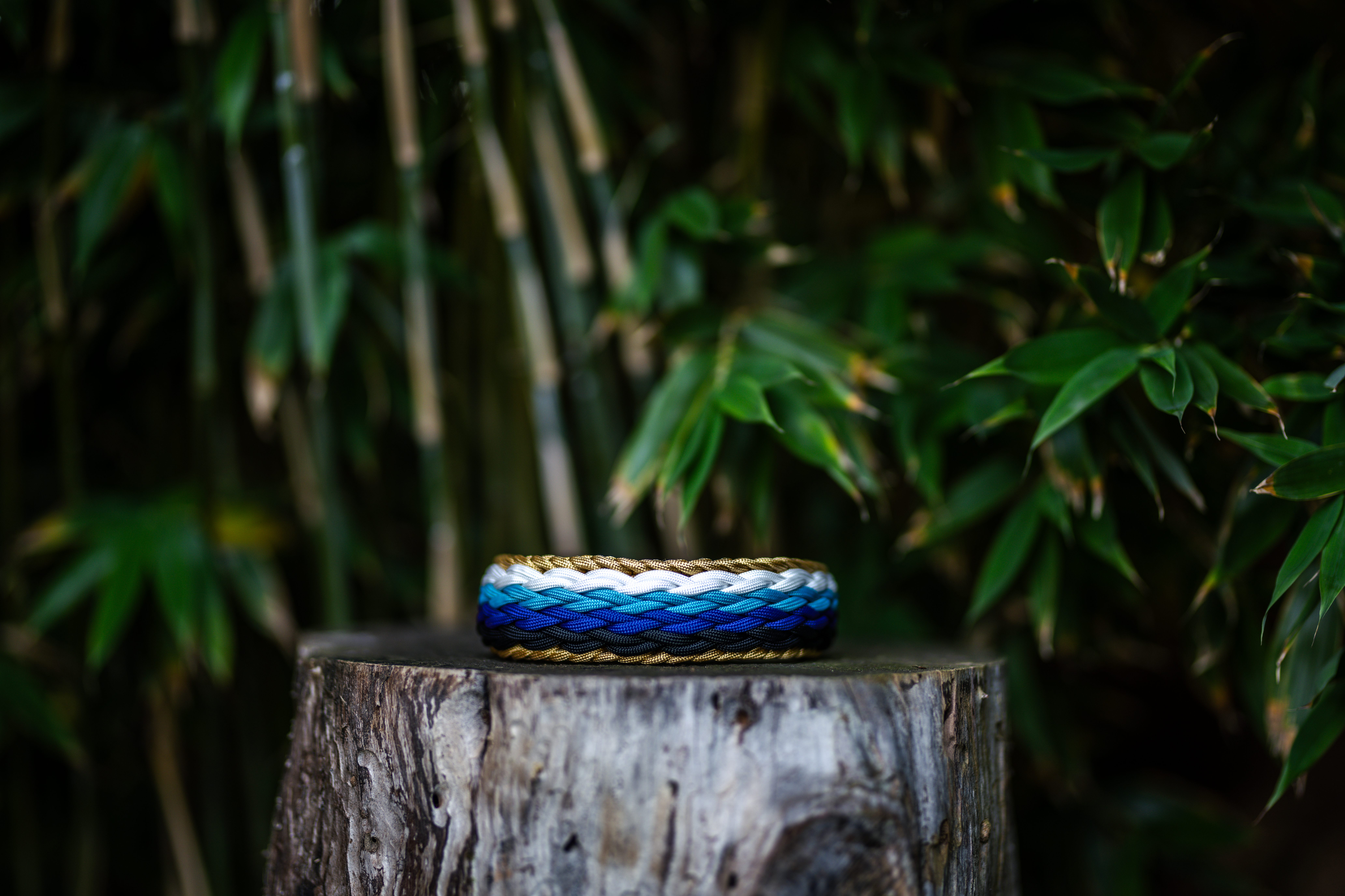 Catshot Pawcraft Halsband 2