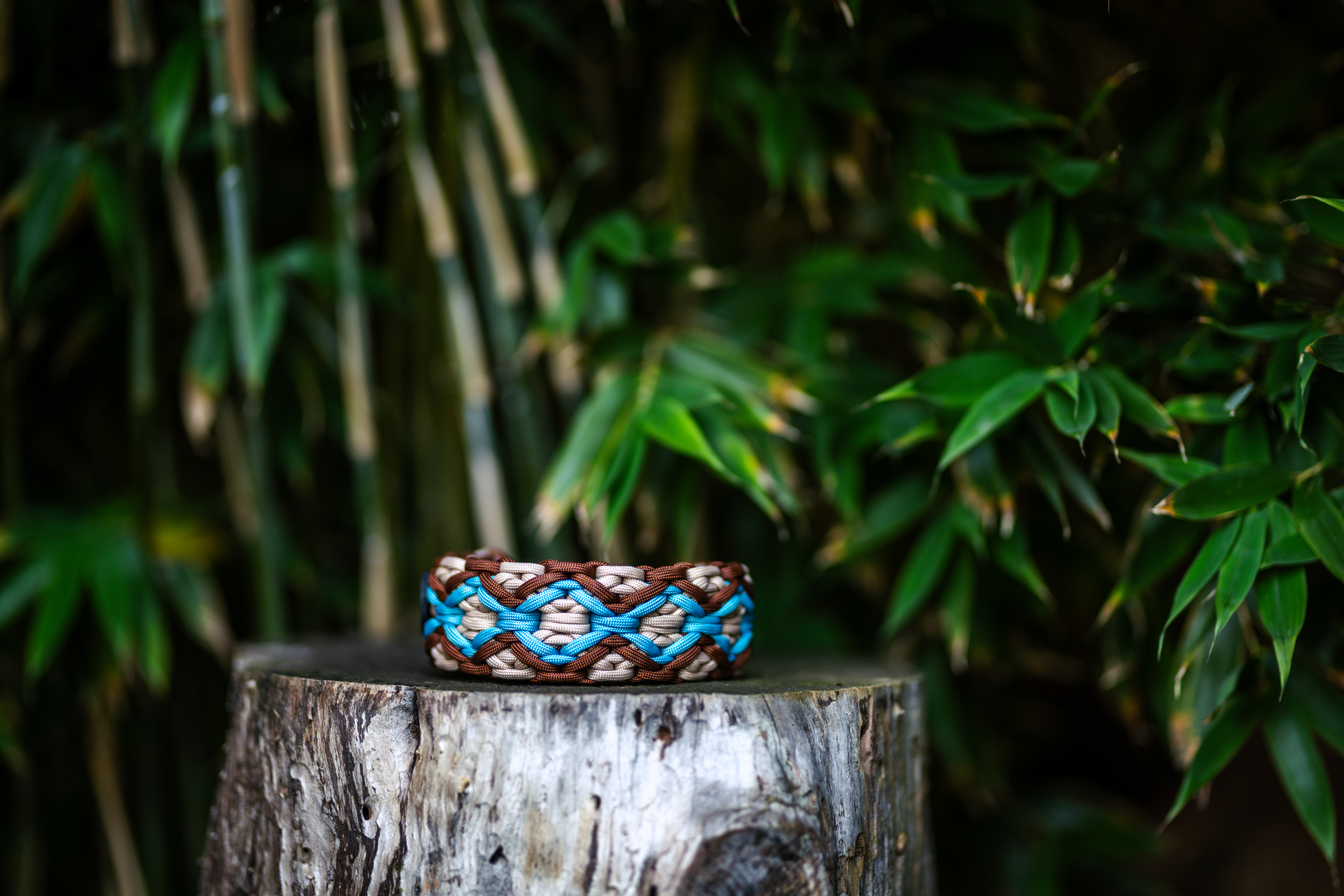 Catshot Pawcraft Halsband 3